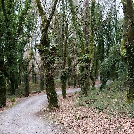 A Casa Da Moreira - En Ponte Maceira *