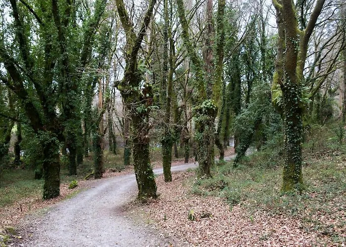 A Casa Da Moreira - En Ponte Maceira *